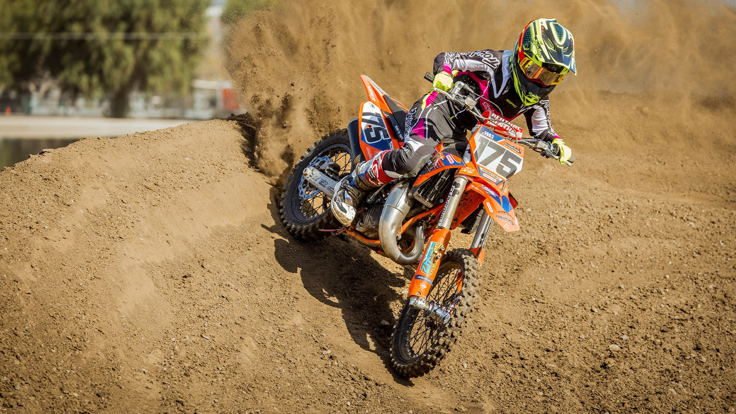 Youth Moto Pants